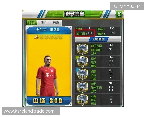 北美足球球星的成长之路与辉煌成就全景解析